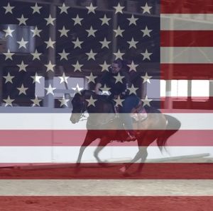 Meet your Posher, Gavin